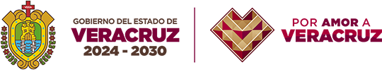 Gobierno de Veracruz